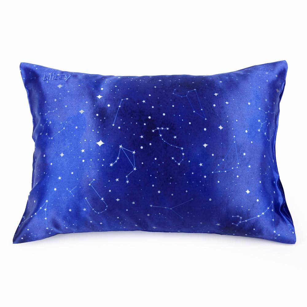 Blissy Silk Pillowcase - 100% Pure Mulberry Silk - 22 Momme 6A High-Grade Fibers - Silk Pillow Cover for Hair & Skin - Regular, Queen & King (Silver, Standard)